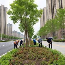 世界杯官网 安宁市政绿化属于什么行业分类